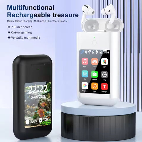 5 in 1 Powerbank + Earbuds